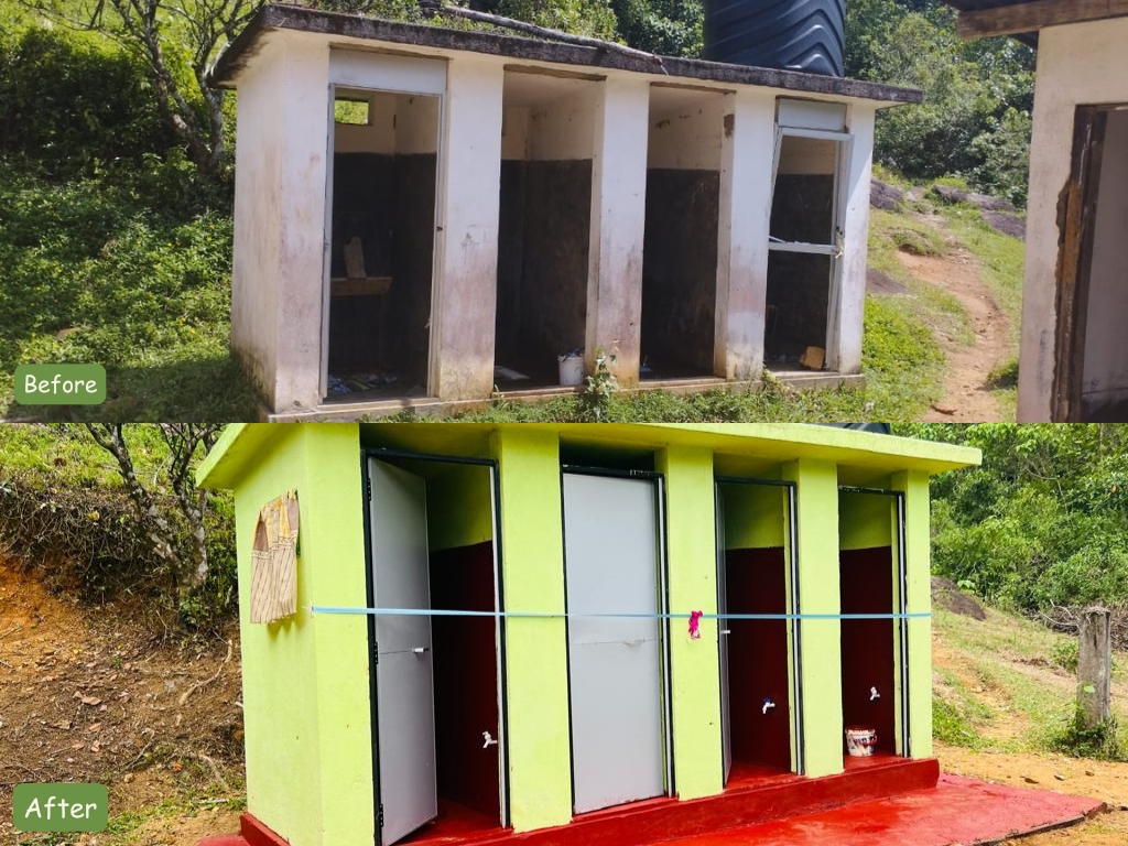 Before & After Toilets